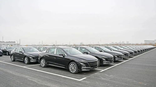 紅旗智造，領(lǐng)航未來(lái) 中國(guó)一汽繁榮工廠搶占新能源汽車行業(yè)制高點(diǎn)